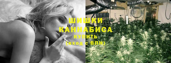 молекула духа Горно-Алтайск