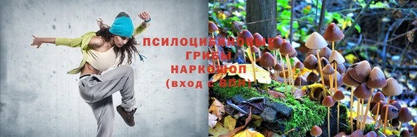 МДПВ Горнозаводск