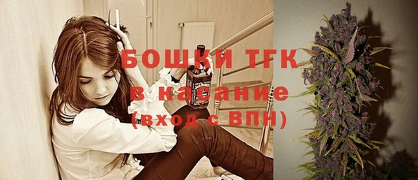 МДПВ Горнозаводск