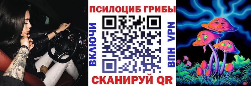Купить  Бежецк  Псилоцибиновые грибы MAGIC MUSHROOMS 